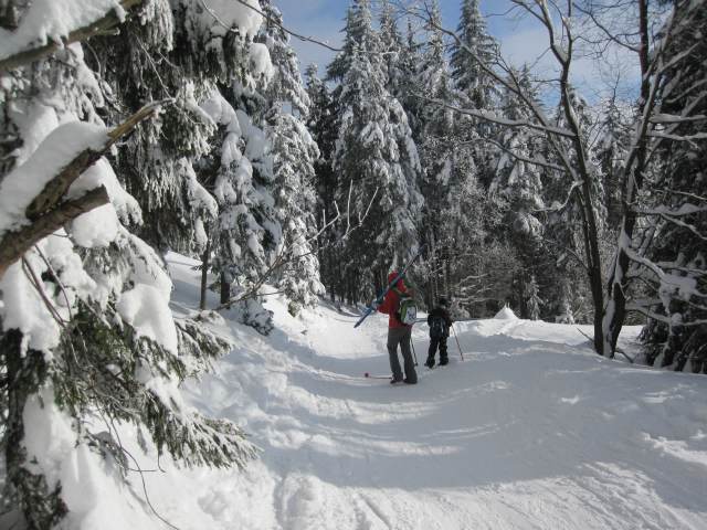 Spinleruv Mlyn Februari 2010